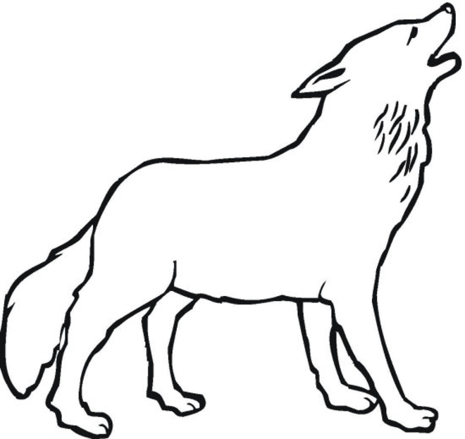 Dessin facile loup gris  Dessins Faciles à Reproduire ou Colorier